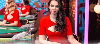 234vip11 bet